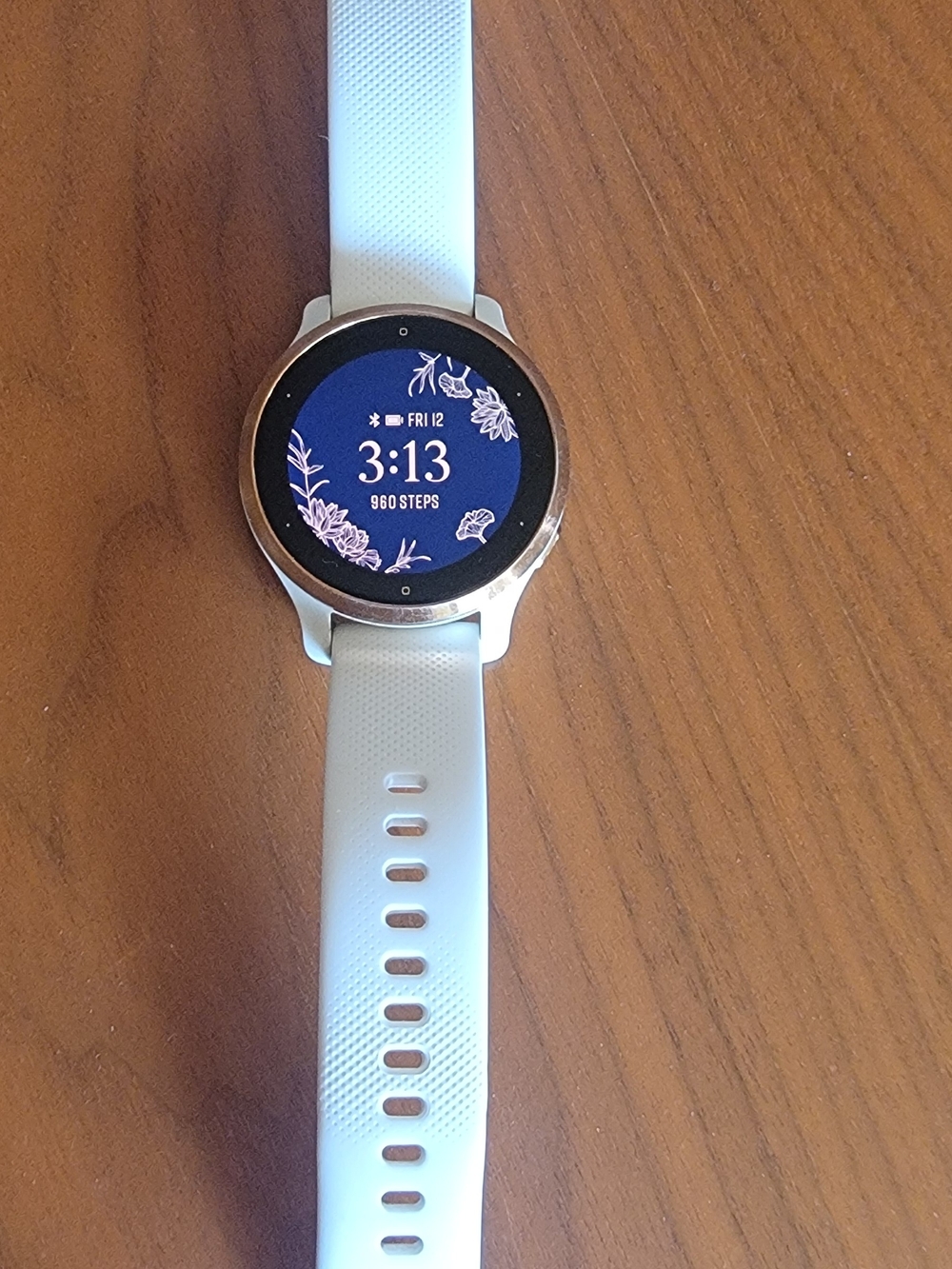Garmin Venu2s